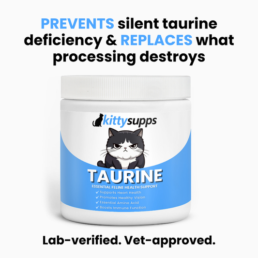 KittySupps™ Taurine Supplement 200 Grams/Bottle (1）